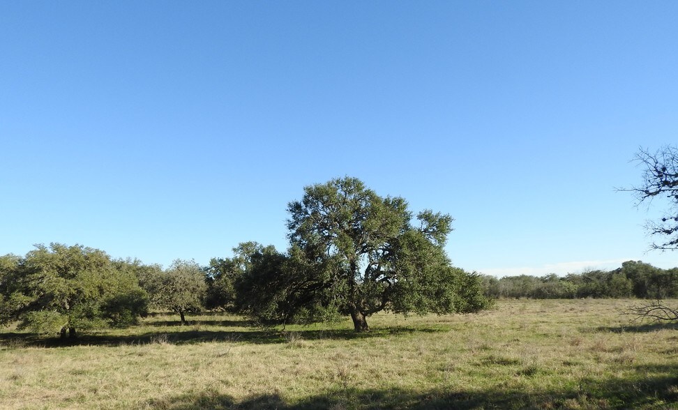 More Photos Of Orange Ln, Beeville Land For Sale