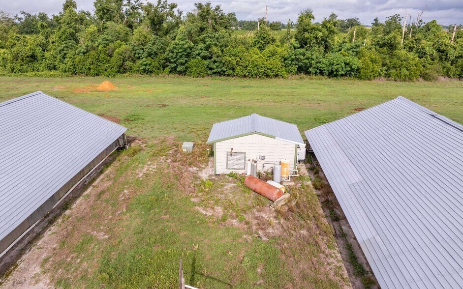 More Photos Of 1083 SW County Road 351, Mayo Land For Sale