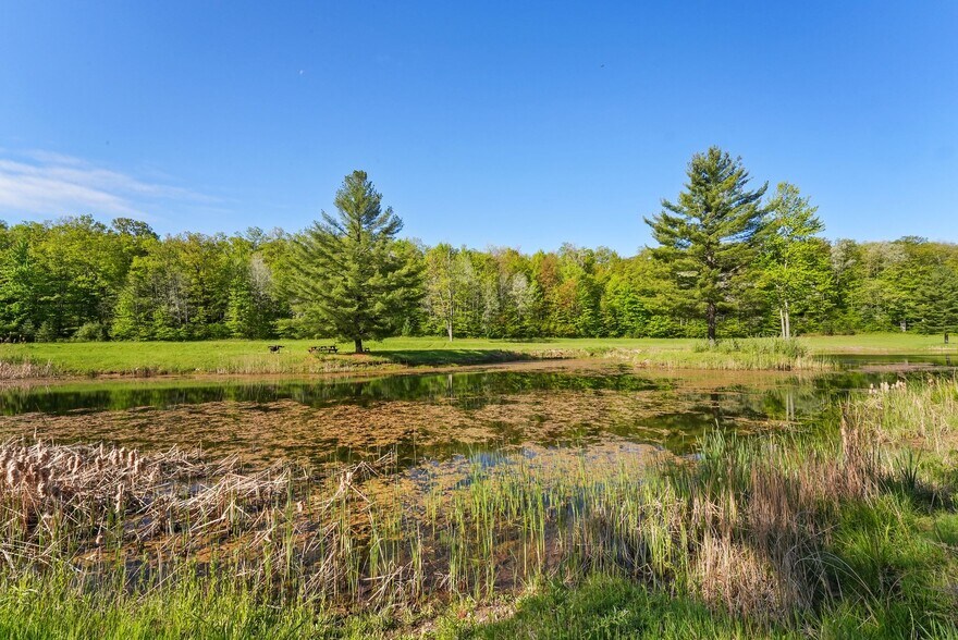 More Photos Of M-55 & M-37, Wellston Land For Sale