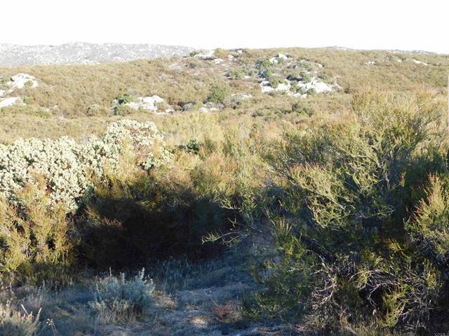 More Photos Of 34679 Old Highway 80, Pine Valley Land For Sale