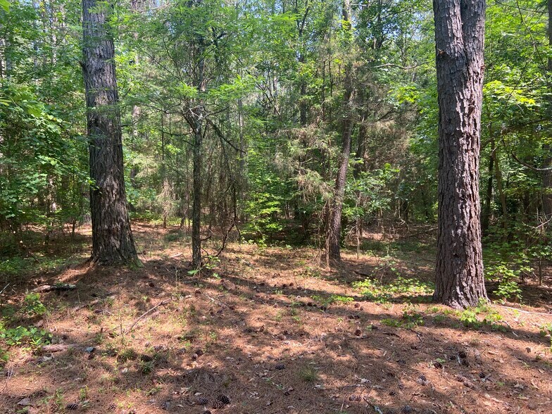 More Photos Of Terry Shop Rd, Fountain Inn Land For Sale