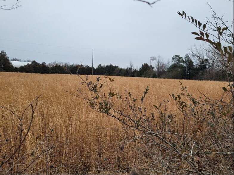 Primary Photo Of 1700 Four Locust Hwy, Keysville Land For Sale