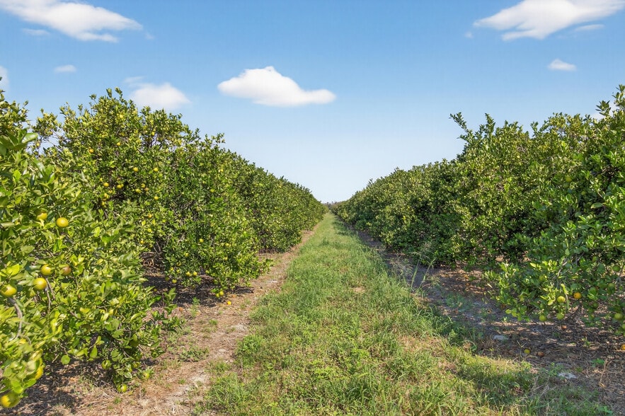 More Photos Of 8476 Ten Mile Grade, Zolfo Springs Land For Sale