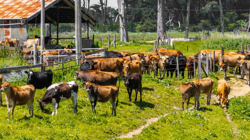 More Photos Of 21601 S Highway 1, Point Arena Land For Sale