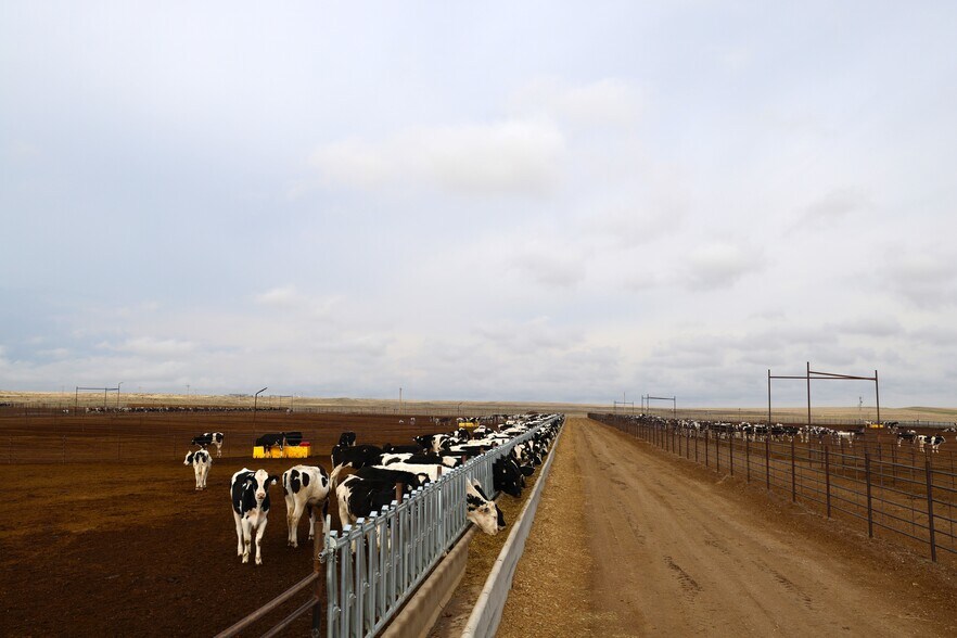 More Photos Of 11905 Co Rd 5, Merino Land For Sale