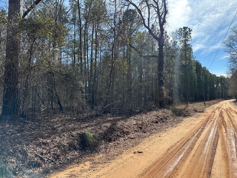 More Photos Of 184 Young Rd, Milledgeville Land For Sale