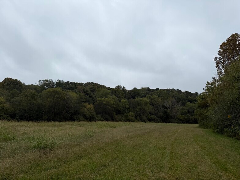 More Photos Of 0 County Road 60, Heflin Land For Sale