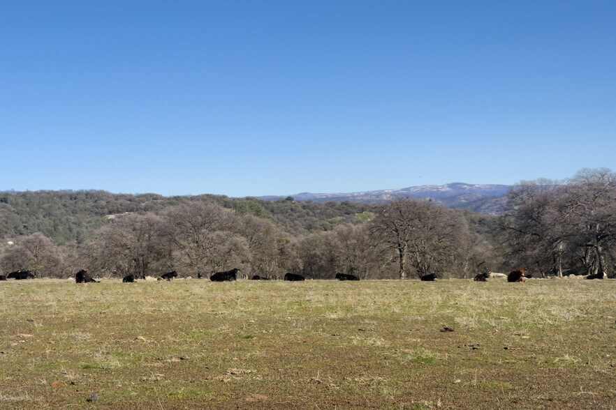 More Photos Of 1484 Oregon Gulch, Oroville Land For Sale