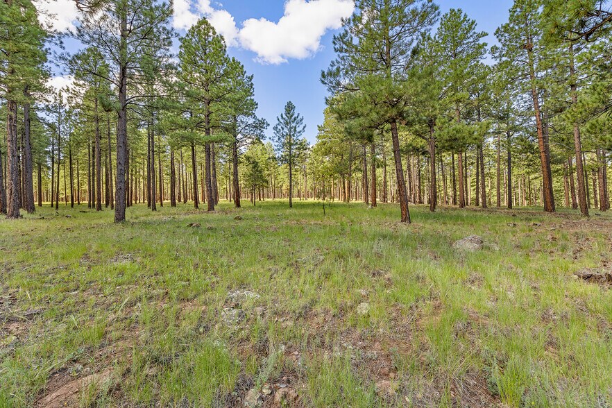 More Photos Of 2251 Kramer St, Flagstaff Land For Sale