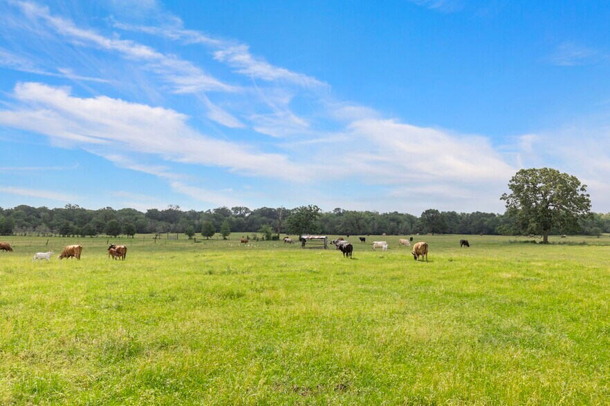 More Photos Of 1574 Highway 30, Anderson Land For Sale