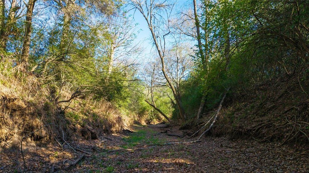 More Photos Of 1700 Co 216 rd, Giddings Land For Sale