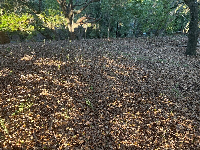 More Photos Of 103-105 Barbara Rd, Orinda Land For Sale