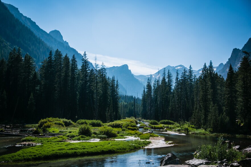More Photos Of Hodge Creek Timberland Near Ashley Lake, Kalispell Land For Sale