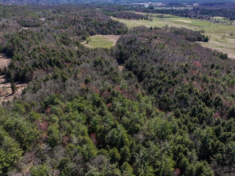 More Photos Of 190 Santas Village Road, Bracebridge Land For Sale