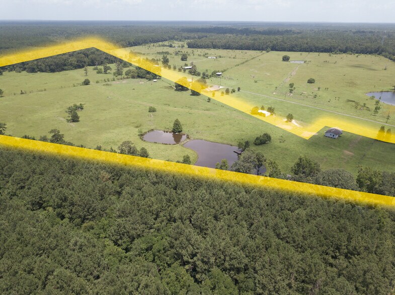 More Photos Of 13360 Highway 59 S, Shepherd Land For Sale