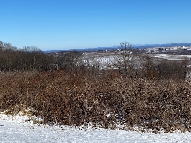 More Photos Of 156 Mount Zion Rd, Marlboro Flex For Sale