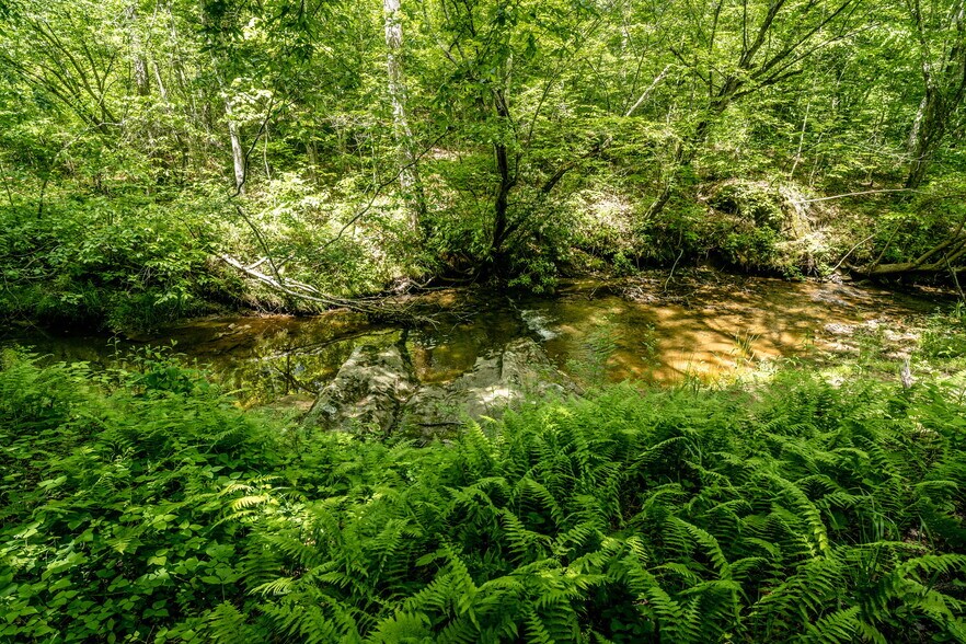 More Photos Of tbd Green Creek Rd, Schuyler Land For Sale
