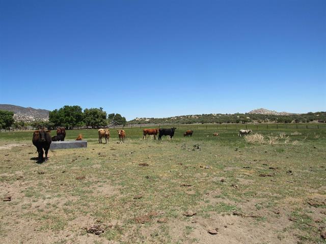 More Photos Of McCain Valley R McCain Valley rd, Boulevard Land For Sale