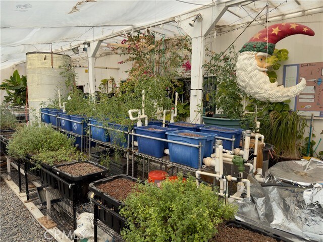 More Photos Of 691 Desert Trail Way, Tecopa Winery Vineyard For Sale