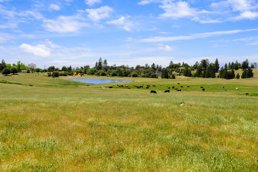More Photos Of 3510 Deer Lake Park Road, Julian, CA 92036, USA -1, Julian Land For Sale