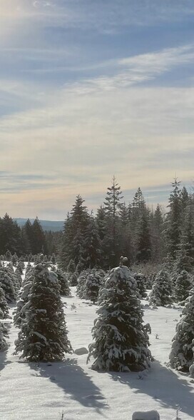 More Photos Of 1521 Willms Rd, Elk Lodge Meeting Hall For Sale