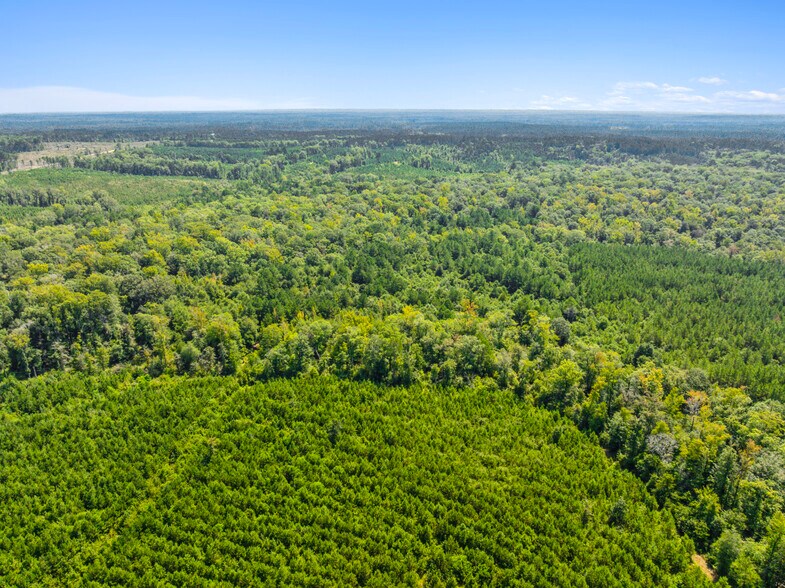 More Photos Of 7471 Highway 155, Saline Land For Sale