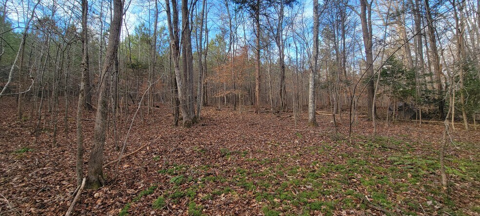 More Photos Of Thompson Chapel Rd, Spartanburg Land For Sale