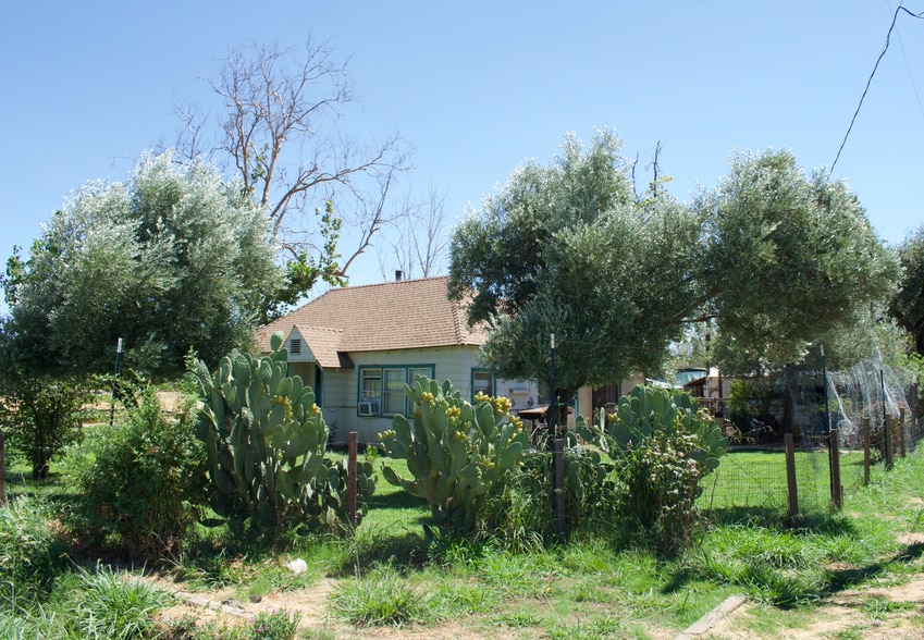 More Photos Of 5243 Poplar Ave, Anderson Apartments For Sale