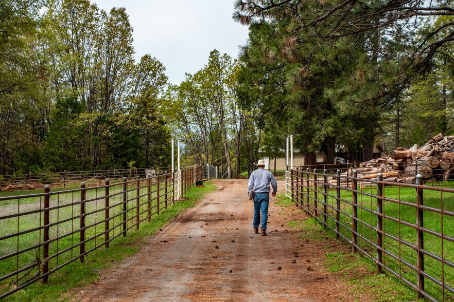 More Photos Of 14388 Fern Rd, Whitmore Land For Sale