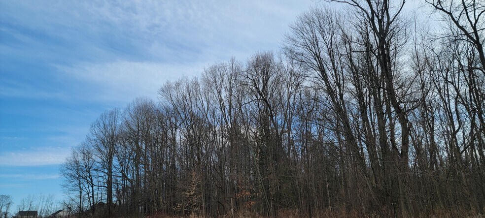 More Photos Of 6420 Lakeshore Rd, Cicero Land For Sale