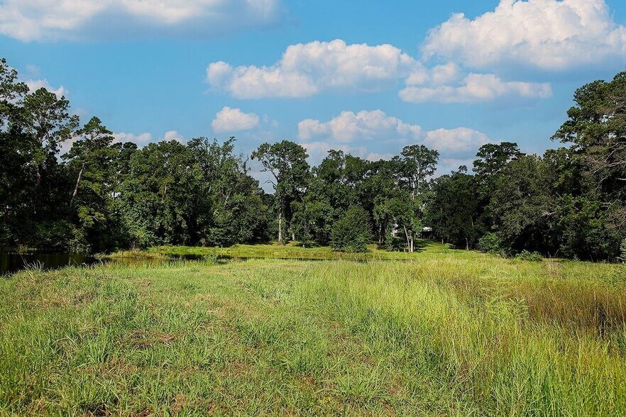 More Photos Of 25126 Gosling Rd, Spring Land For Sale