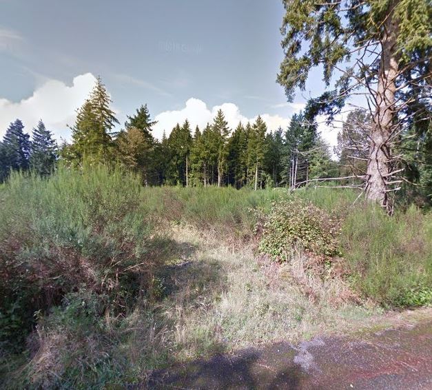 Primary Photo Of SW Fishpond Creek Dr, Tumwater Land For Sale