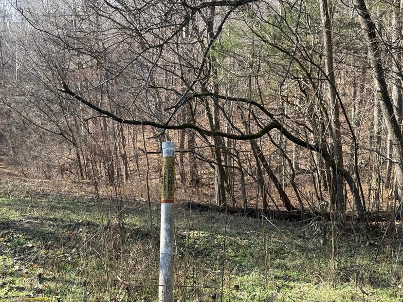 More Photos Of 4604 Summersville Rd, Campbellsville Land For Sale