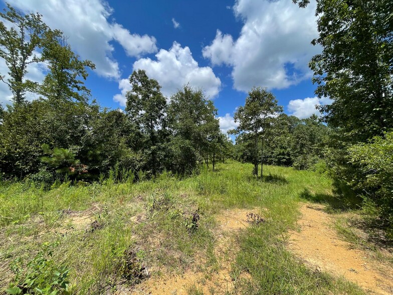 More Photos Of 23034 Highway 25, Columbiana Land For Sale