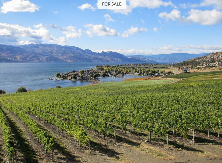 Primary Photo Of Naramata Bench, Penticton Winery Vineyard For Sale