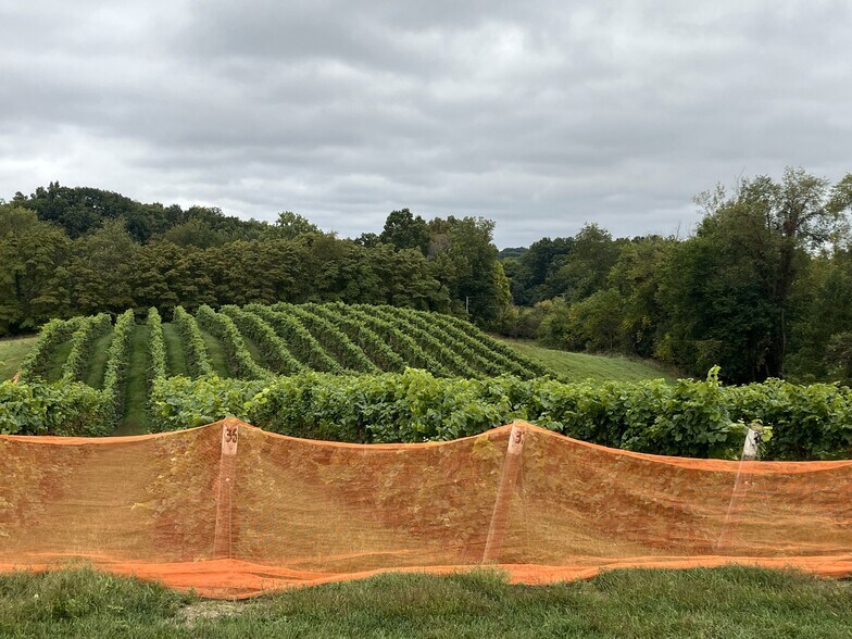 More Photos Of 10220 Lauer Rd, Baroda Winery Vineyard For Sale