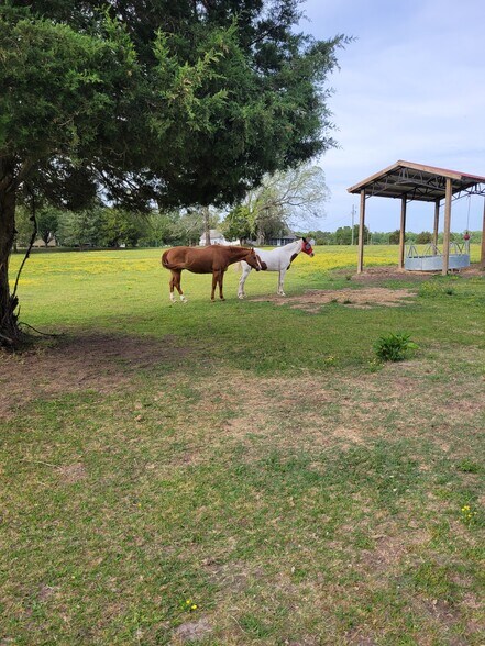 More Photos Of 215 Harding Rd, Chocowinity Office For Sale