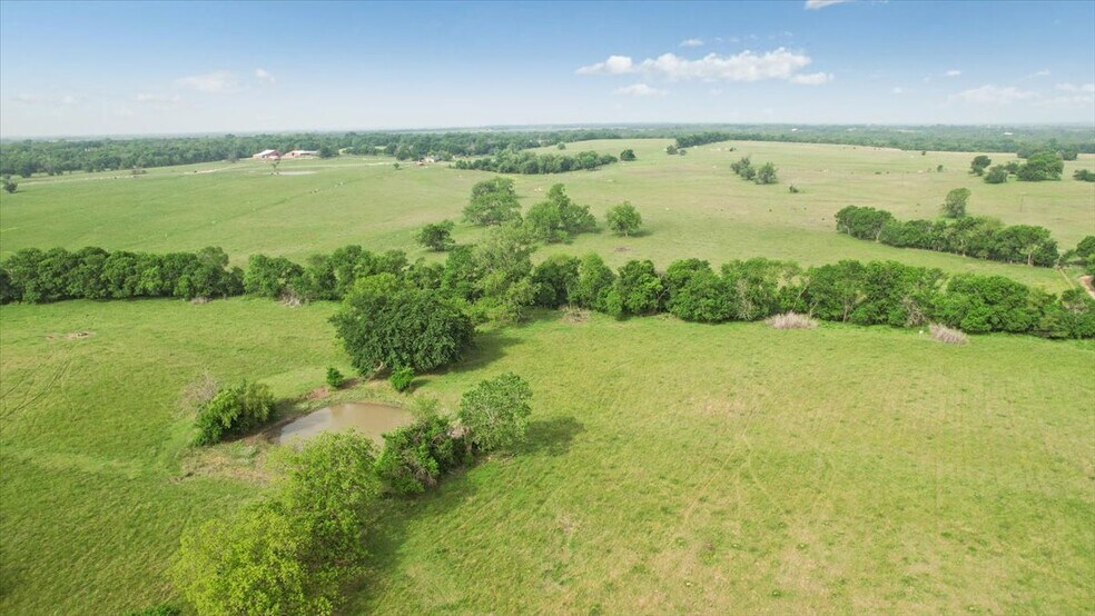 More Photos Of TBD Farm to Market Road 100, Honey Grove Land For Sale