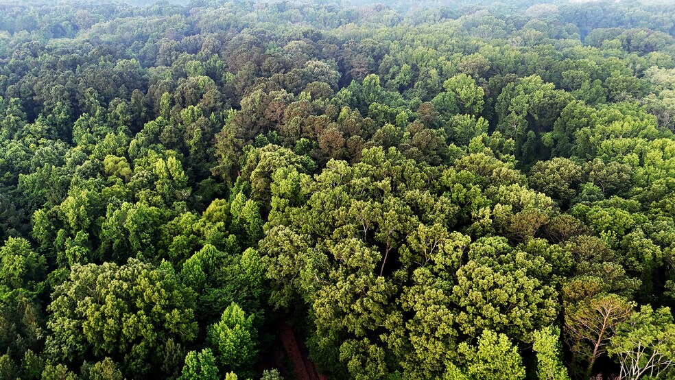 More Photos Of 2030 Longwood rd, Columbia Land For Sale