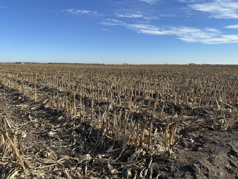 More Photos Of W. Schultz Road, Wood River Land For Sale