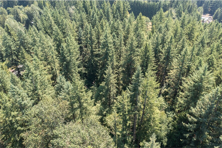 More Photos Of OK Mill Road, Snohomish Land For Sale