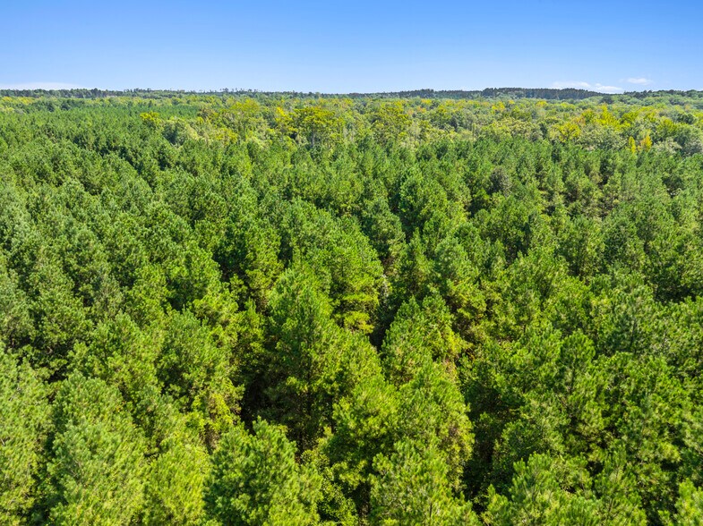 More Photos Of 7471 Highway 155, Saline Land For Sale