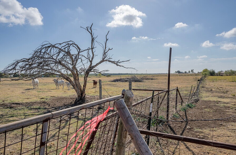 More Photos Of 1833 County Road 305, Jarrell Land For Sale