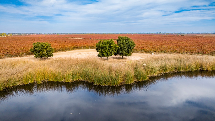 More Photos Of Colony Ranch Vineyard, Wilton Land For Sale