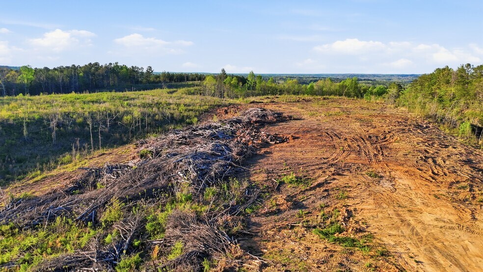 More Photos Of 0 Highway 269, Parrish Land For Sale