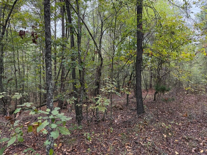 More Photos Of Colquitt Rd, Cedartown Land For Sale