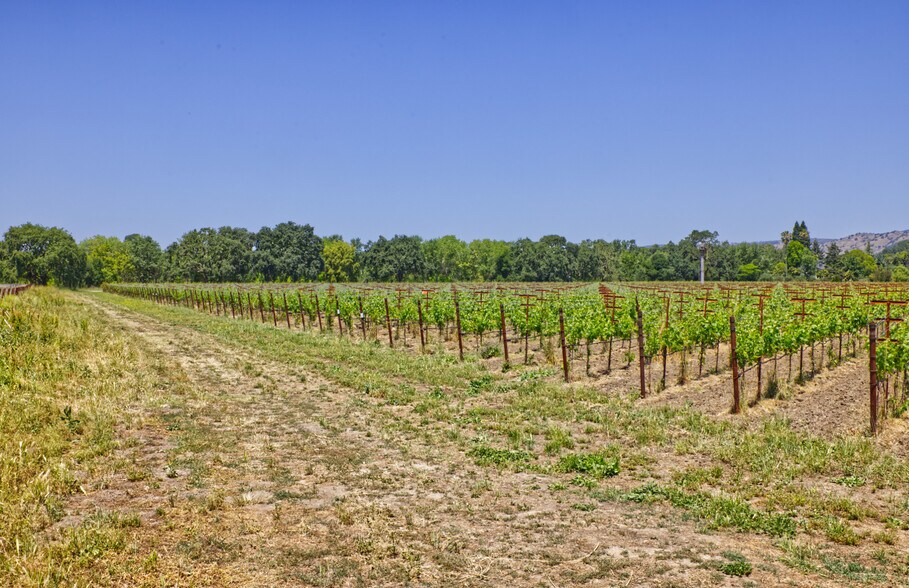 More Photos Of 6160 St Helena hwy, Napa Land For Sale