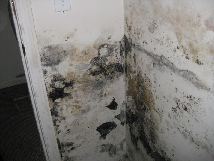 More Photos Of 205 S School Ave, Mahaska Apartments For Sale