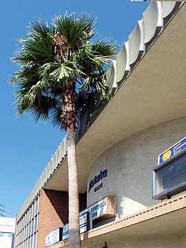 More Photos Of 6820-6822 La Tijera Blvd, Los Angeles Office For Lease