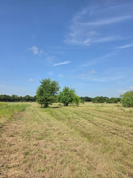More Photos Of 630 County Road 452, Eddy Land For Sale